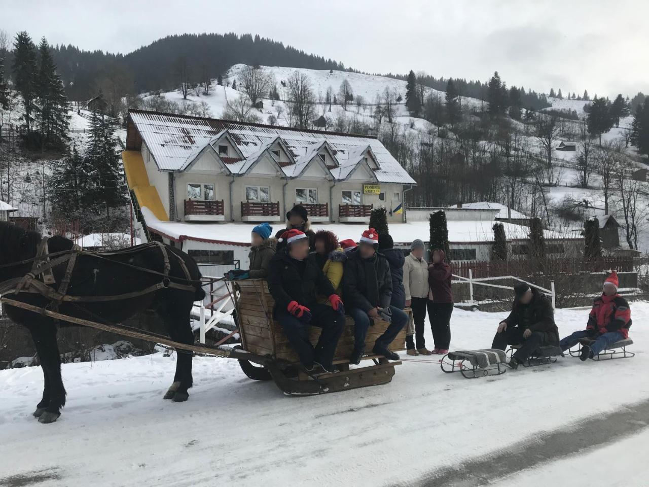 Pensiunea Serbeca Hotel Brosteni Екстериор снимка